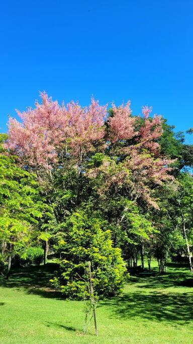 Recanto Dos Beija Flores, Chale Bougainville Monte Alegre do Sul Eksteriør billede