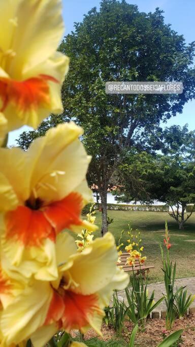 Recanto Dos Beija Flores, Chale Bougainville Monte Alegre do Sul Eksteriør billede